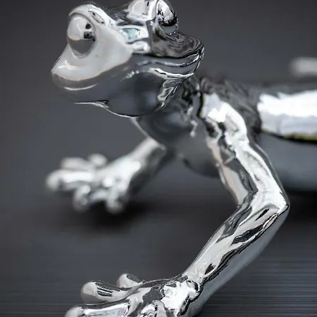 Apartamento Lagarto *